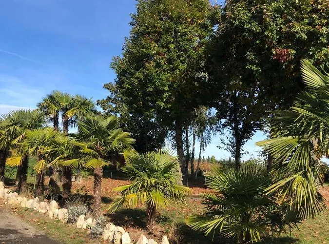 Couette-café Chez Anidé 3*